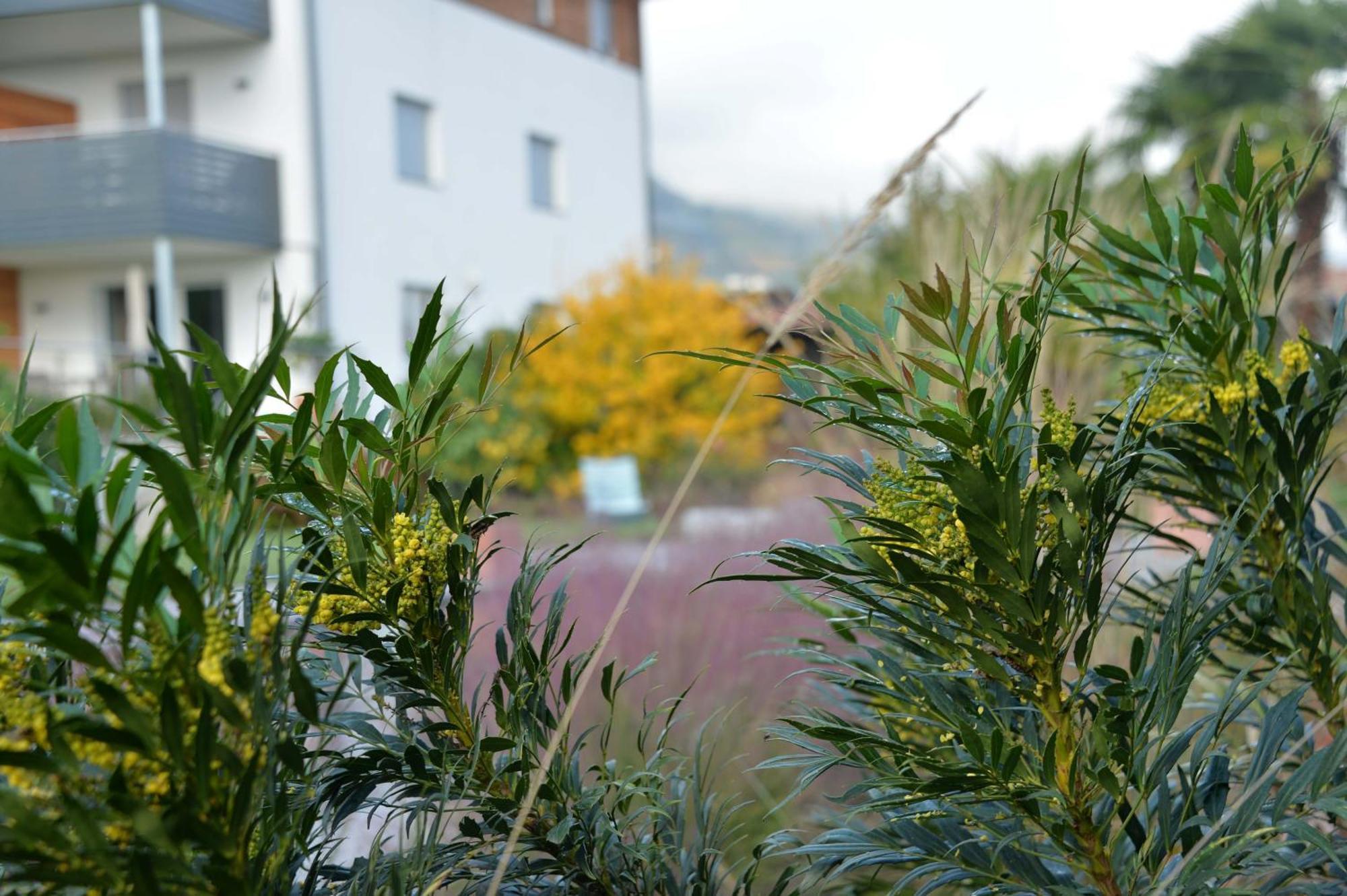 Haus Wiesenstein Lana Zewnętrze zdjęcie